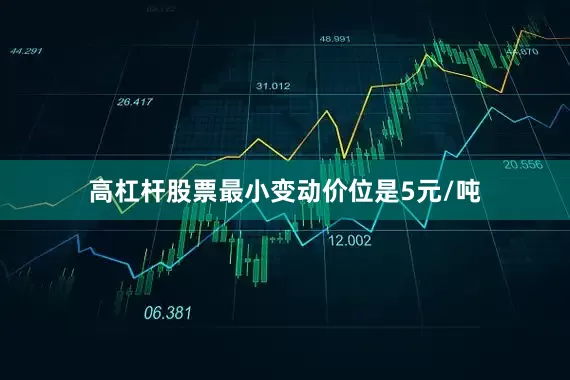 高杠杆股票最小变动价位是5元/吨